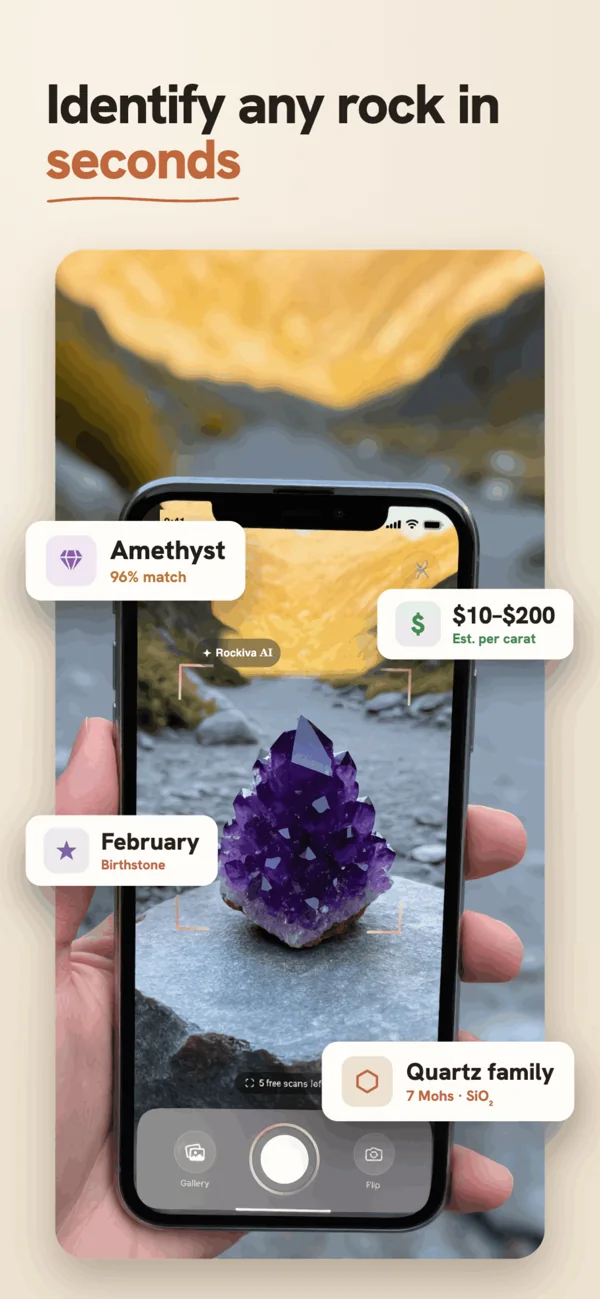 Rockiva identifying an amethyst crystal in seconds